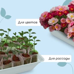 Ящик для рассады, 40×25×10 см, 5 л, пластик, МИКС, «Садовита 8»