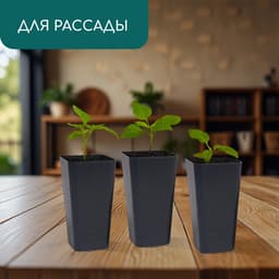 Горшок для рассады, 600 мл, 8×8×15 см, пластик, МИКС, Greengo