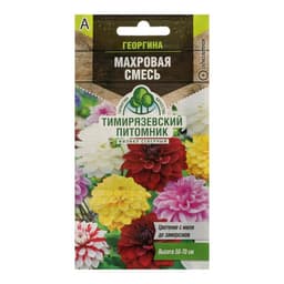 Семена цветов Георгина «Махровая», смесь, однолетник, 0.2 г, «Тимирязевский питомник»