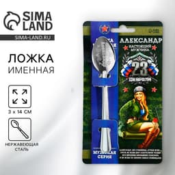 Ложка чайная именная «Александр», 3×14 см