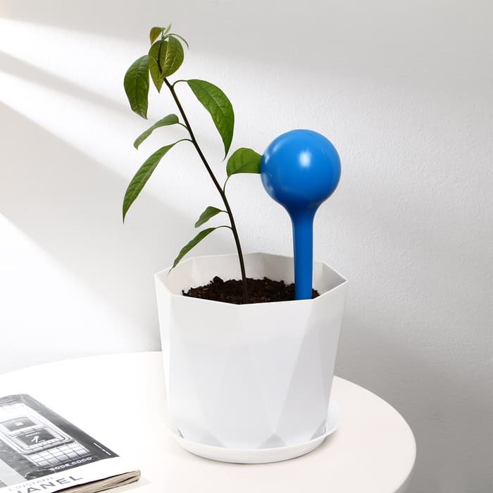 Автополив для комнатных цветов, 380 мл, h=16 см, пластик, МИКС