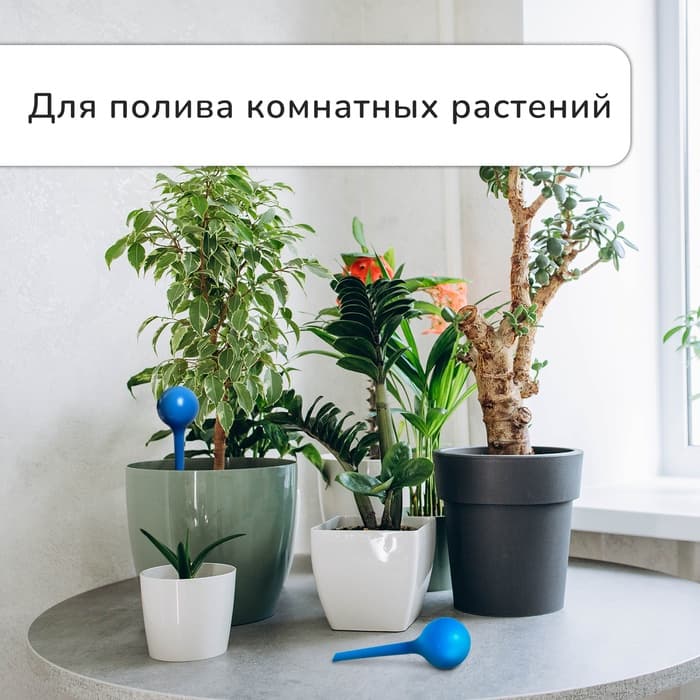 Автополив для комнатных цветов, 380 мл, h=16 см, пластик, МИКС