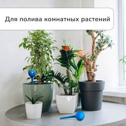 Автополив для комнатных цветов, 380 мл, h=16 см, пластик, МИКС