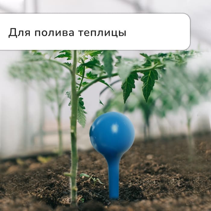 Автополив для комнатных цветов, 380 мл, h=16 см, пластик, МИКС