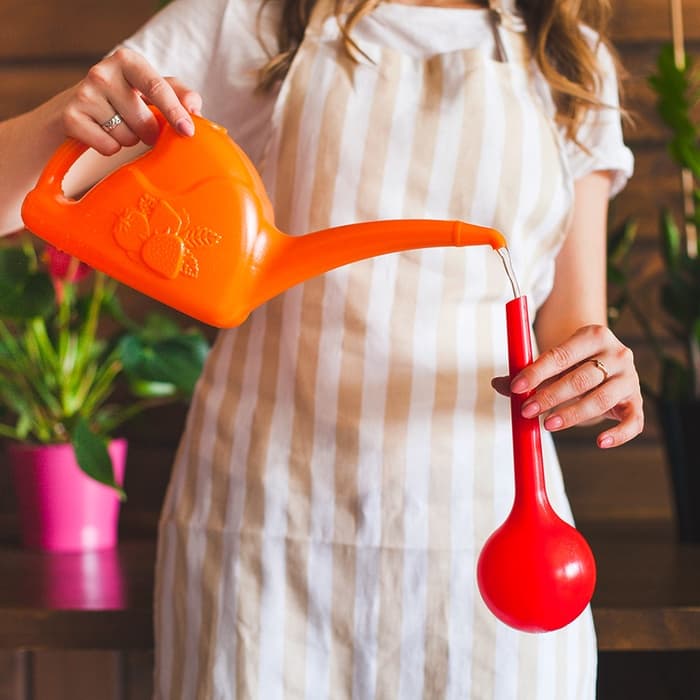 Автополив для комнатных цветов, 380 мл, h=16 см, пластик, МИКС