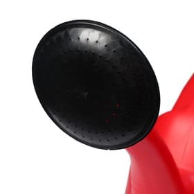 Рассеиватель на лейку объёмом 10 л, для носика d=31 мм, МИКС, «ЛЮКС»