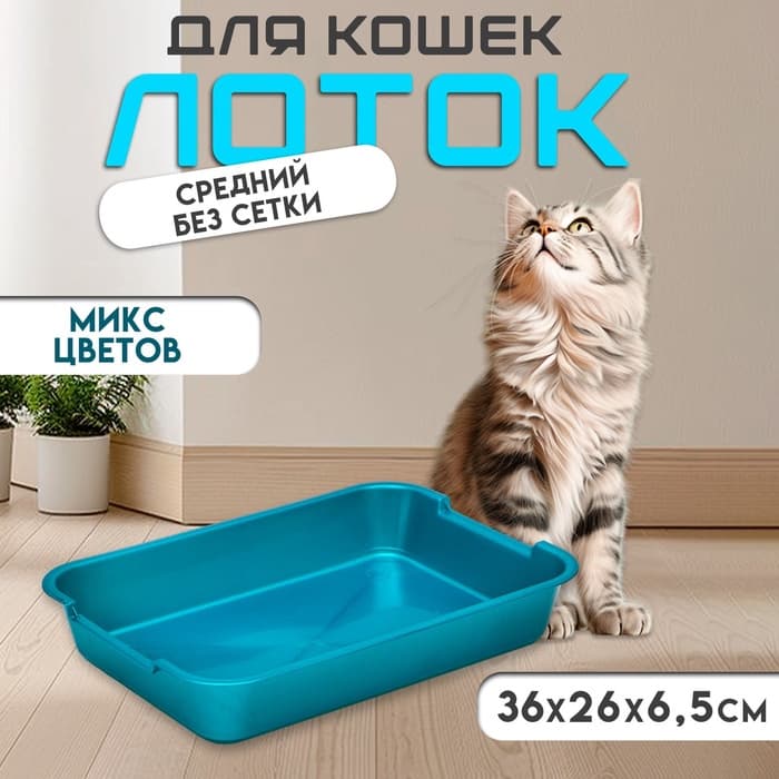 Туалет средний, без сетки 36×26×6.5 см, микс цветов