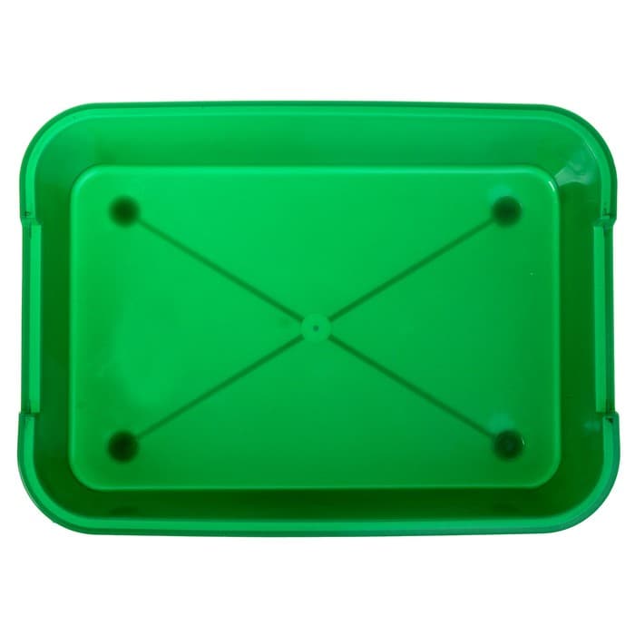 Туалет для кошек, 36×26×6.5 см, средний, без сетки, пластик, зелёный