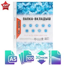 Файл - вкладыш Calligrata, А5, 30 мкм, глянцевый, вертикальный, 100 штук