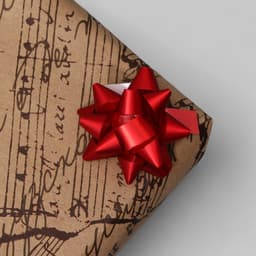 Подарочный Бант - звезда №3.5, металлик, ассорти, для упаковки подарков