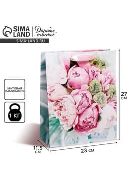 Пакет подарочный ламинированный, упаковка, «Радости!», ML 23×27×11.5 см