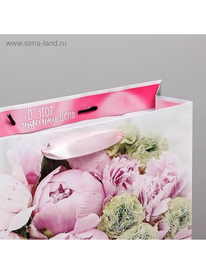 Пакет подарочный ламинированный, упаковка, «Радости!», ML 23×27×11.5 см
