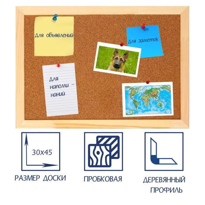 Доска пробковая А3, Calligrata LINE, 30×45 см, в деревянной раме