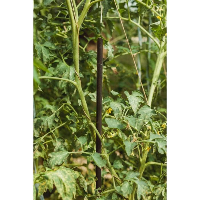 Колышек для подвязки растений, h=120 см, d=1.6 см, пластик, МИКС, Greengo