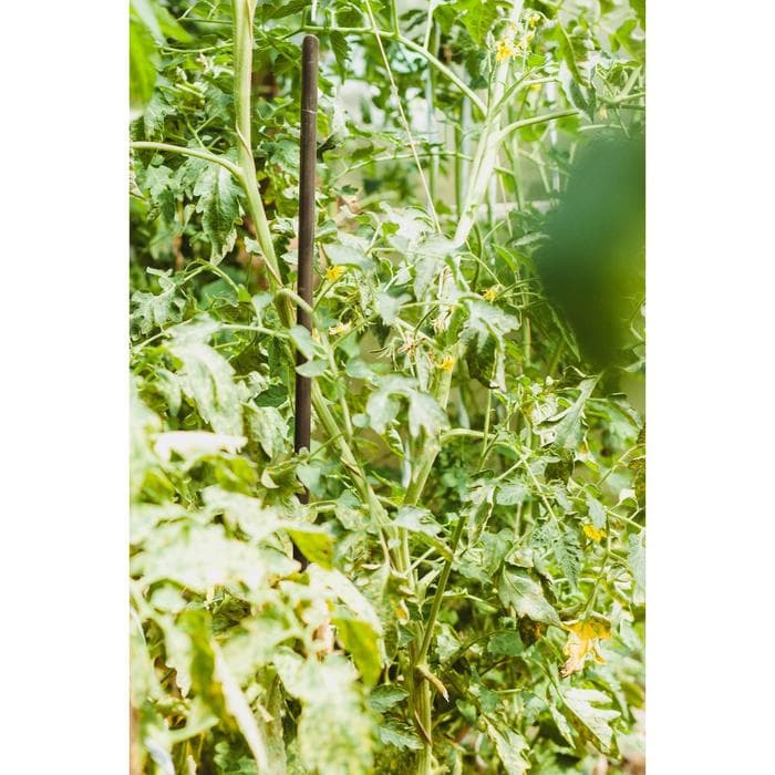Колышек для подвязки растений, h=120 см, d=1.6 см, пластик, МИКС, Greengo