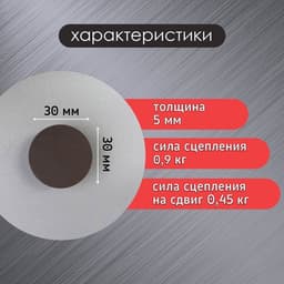 Магнит технический ферритовый (магнитит на обе стороны), 30×5 мм