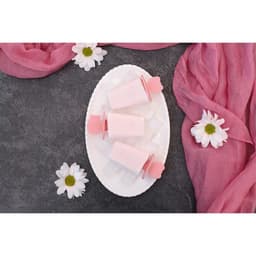 Форма для мороженого Доляна «Нега», 6 ячеек, пластик, МИКС