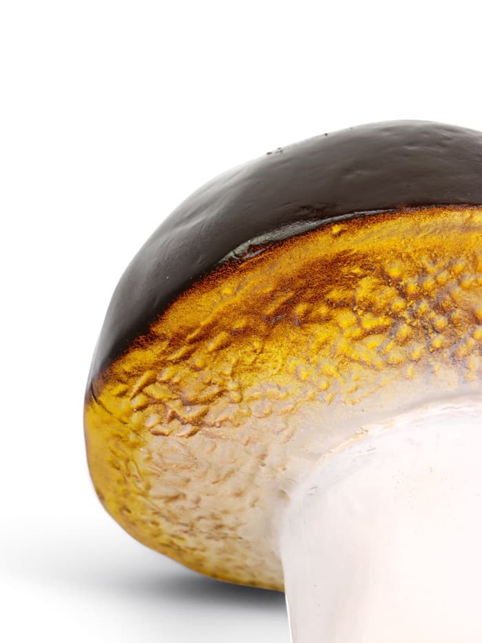 Садовая фигура из гипса «Гриб-боровик», 14×11×11 см