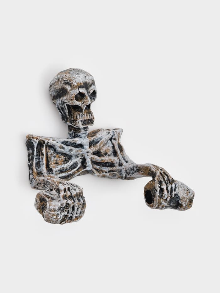 Держатель для туалетной бумаги «Скелет», 18×22 см
