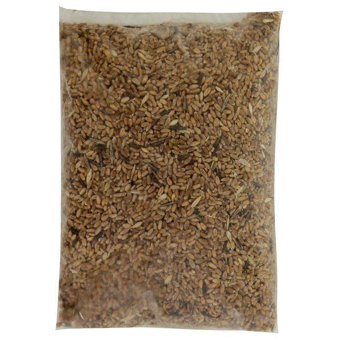 Семена Пшеница «Поспелов», 1 кг