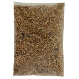 Семена Пшеница «Поспелов», 1 кг