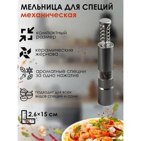 Мельница для специй «Пружина», 15×2.5 см, металлический механизм, серая