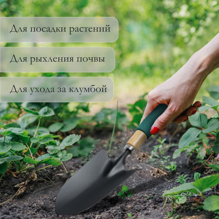 Совок посадочный Greengo, длина 34.5 см, ширина 8 см, деревянная ручка с поролоном