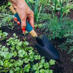 Совок посадочный Greengo, длина 34.5 см, ширина 8 см, деревянная ручка с поролоном