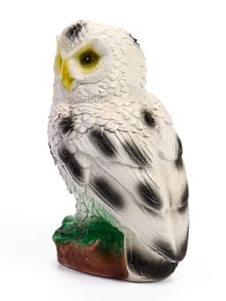 Садовая фигура из гипса «Сова полярная», 24×15×15 см