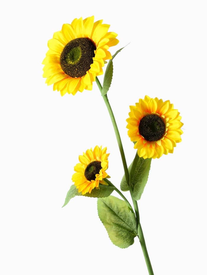 Цветы искусственные «Подсолнух, три бутона», 26×115 см