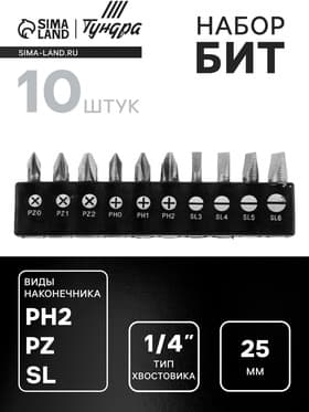 Набор бит ТУНДРА, сталь CrV, PH, PZ, SL × 25 мм, 10 шт.