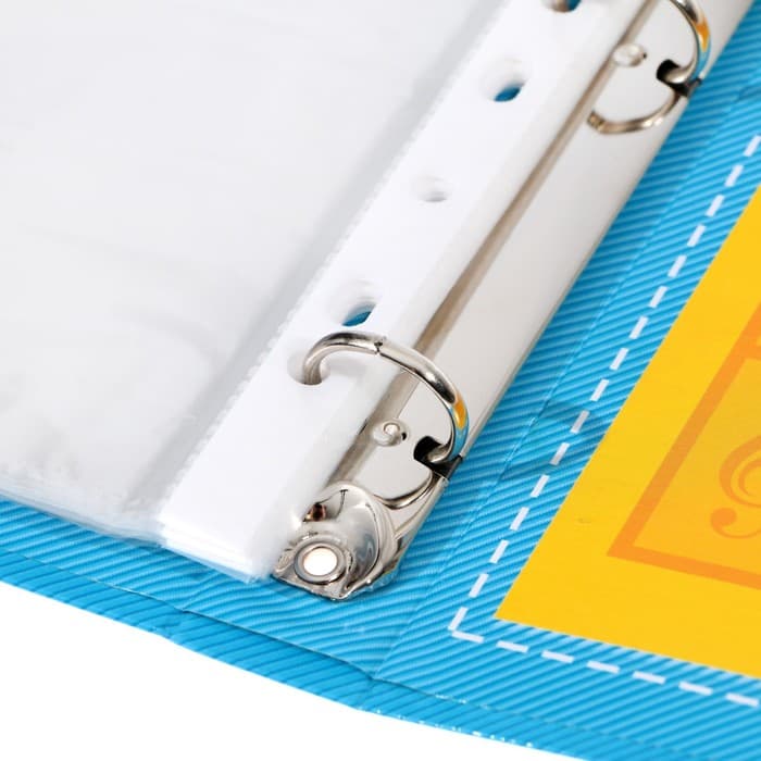 Папка школьная на кольцах «Портфолио ученика начальной школы», 10 листов-разделителей, 24.5×32 см