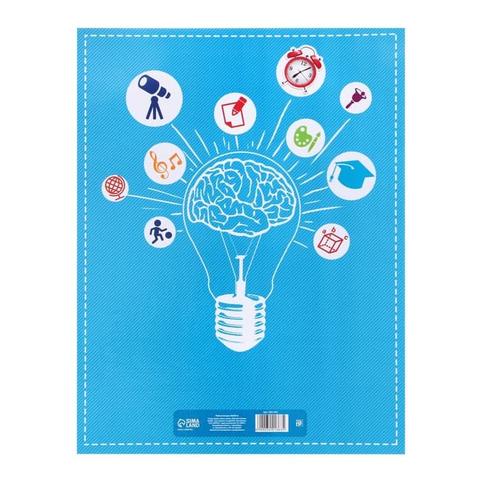 Папка школьная на кольцах «Портфолио ученика начальной школы», 10 листов-разделителей, 24.5×32 см