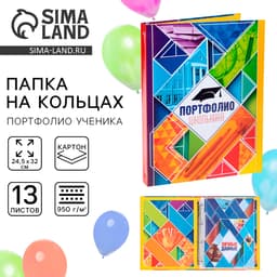 Папка школьная на кольцах «Портфолио школьника», 13 листов-разделителей, 24.5×32 см