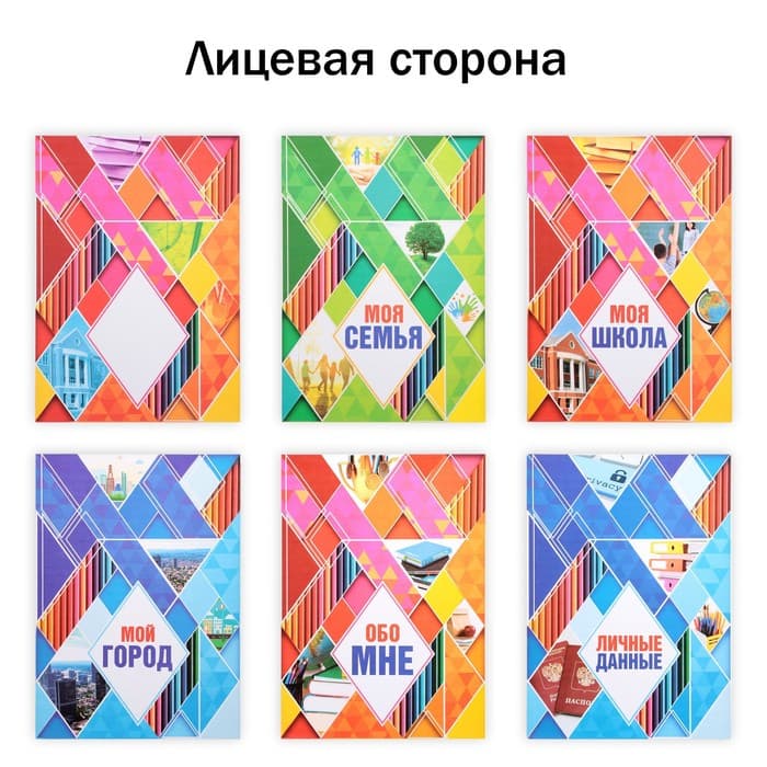 Папка школьная на кольцах «Портфолио школьника», 13 листов-разделителей, 24.5×32 см