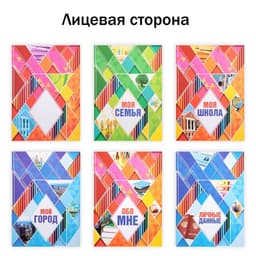 Папка школьная на кольцах «Портфолио школьника», 13 листов-разделителей, 24.5×32 см
