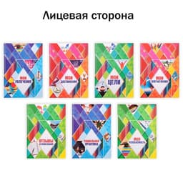 Папка школьная на кольцах «Портфолио школьника», 13 листов-разделителей, 24.5×32 см