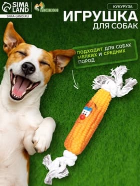 Игрушка на канате «Кукуруза» для собак, 30 см, кукуруза 14 см, жёлтая