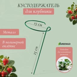 Подставка для клубники, металлическая, d=15 см, h=25 см, ножка d=0.3 см, зелёная, Greengo