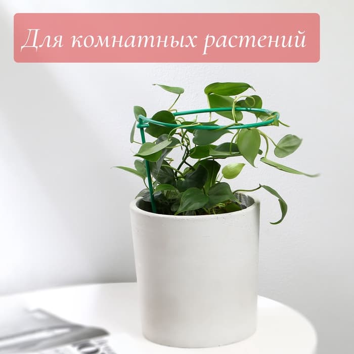 Подставка для клубники, металлическая, d=15 см, h=25 см, ножка d=0.3 см, зелёная, Greengo