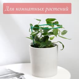 Подставка для клубники, металлическая, d=15 см, h=25 см, ножка d=0.3 см, зелёная, Greengo