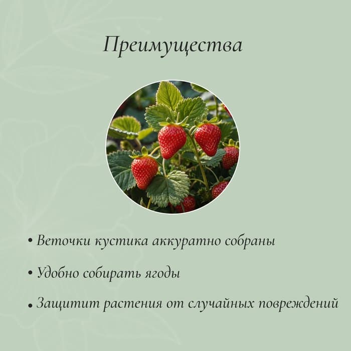 Подставка для клубники, металлическая, d=15 см, h=25 см, ножка d=0.3 см, зелёная, Greengo