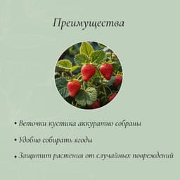 Подставка для клубники, металлическая, d=15 см, h=25 см, ножка d=0.3 см, зелёная, Greengo