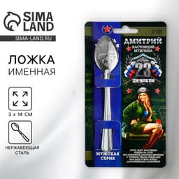 Ложка чайная именная «Дмитрий», 3×14 см