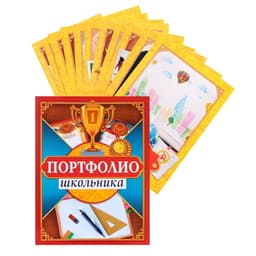 Папка школьная на кольцах «Портфолио школьника», 13 листов-разделителей, 24.5×32 см