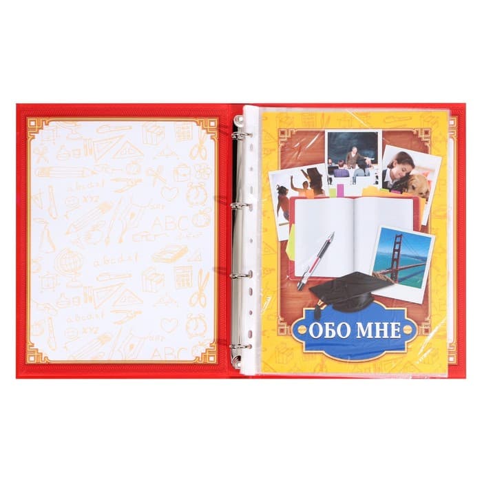 Папка школьная на кольцах «Портфолио школьника», 13 листов-разделителей, 24.5×32 см