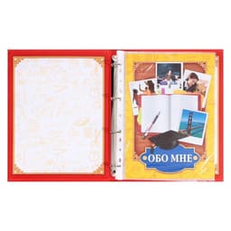 Папка школьная на кольцах «Портфолио школьника», 13 листов-разделителей, 24.5×32 см