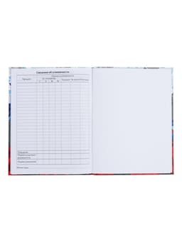 Дневник школьный для 1-11 классов, «Россия геометрия», твёрдая обложка 7БЦ, глянцевая ламинация, 40 листов