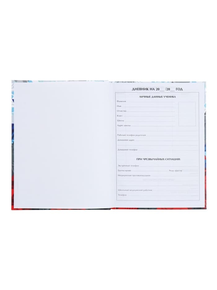 Дневник школьный для 1-11 классов, «Россия геометрия», твёрдая обложка 7БЦ, глянцевая ламинация, 40 листов