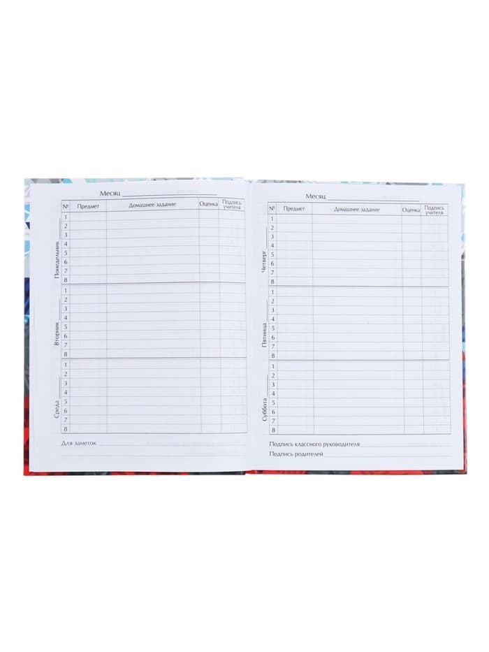 Дневник школьный для 1-11 классов, «Россия геометрия», твёрдая обложка 7БЦ, глянцевая ламинация, 40 листов